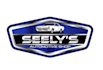 design a professional car logo