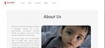develop buisness boost website, seo , stores , applications