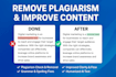 deliver detailed plagiarism and ai originality reports