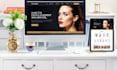 build or rebuild an awesome wordpress website that is fast and professional