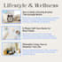 create high quality articles and blogs