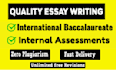 professionally assist you with ib computer science ia and ee ess