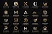 design a custom, unique and professional logo for you