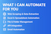 automate your repetitive tasks with a custom python script