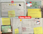 provide china visa services for work, study and travel