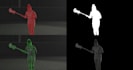 do professional rotoscoping,green screen remove,roto paint