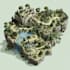 design fantasy map illustration isometric map