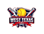 create high quality and beautiful softball logo design