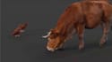 create quality 3d animal animation, 3d cgi animal animation, 3d animal rigging
