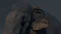 create professional 3d models, animations and renders