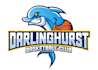 create a custom mascot dolphin basketball team logo design