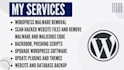 do wordpress malware removal from your website and set up security