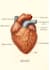 create 3d medical illustrations
