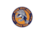 create wonderful and excellent eagle logo design
