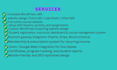 create wordpress lms website or customizetion existing