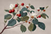 draw botanical illustration art for you