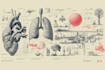 create medical illustrations and diagrams