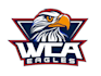 design luxury eagle logo with my creative thinking