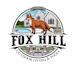 make a awesome fox logo for you with new concept
