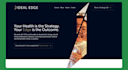 build a responsive webflow website or convert figma and canva to webflow