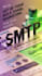configure SMTP server plus mailwizz  powermta for mass email delivery