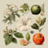do botanical and animal designs and patterns for you
