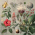 do botanical and anatomical scientific illustrations