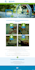 design and develop SEO friendly wordpress websites