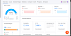 deliver a professional semrush SEO audit with pro solutions