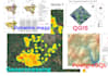 create dynamic maps with qgis and postgresql