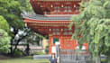 teach you japanese in a fun environment