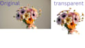do bulk product image background and green screen removal