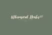 design draw whimsical logo