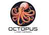 make jellyfish,octopus logo design with my own creativity