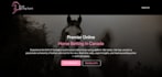 responsive landing page and website design