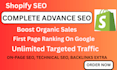 promote boost shopify store sales ecommerce marketing SEO website traffic
