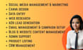 be personal virtual assistant for social media task, canva design, data entry