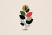 create profesonal  botanical logo designs