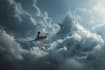draw any photo manipulation and professional photoshop edit