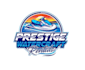 create wonderful and excellent jet ski logo design