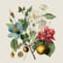 draw botanical illustrations of flowers, plants