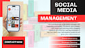 manage your social media accounts with professional posts