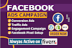 set up facebook ads and  ad campaigns