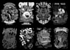 do customize illustration in pen and ink art style