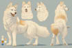 draw custom furry art, reference sheets and furry commission