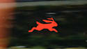 add your logo with rabbit paint board