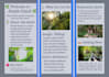 create custom graphic design or professional redesign