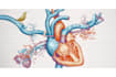 design medical figures and scientific illustrations