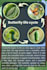 design engaging educational infographics and flowcharts