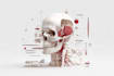 create your 3d medical anatomy scientific biomedical